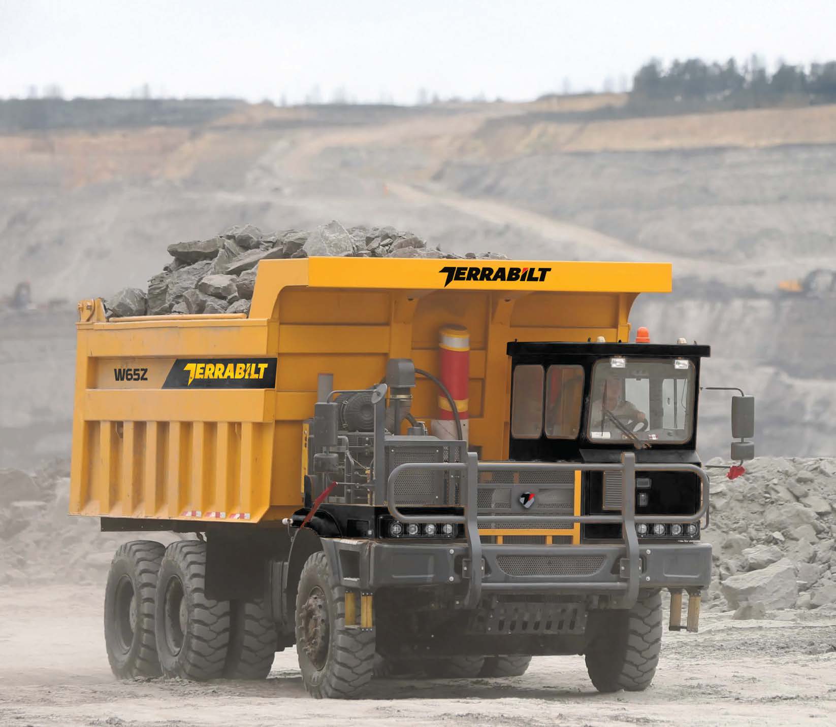 Terrabilt W65Z